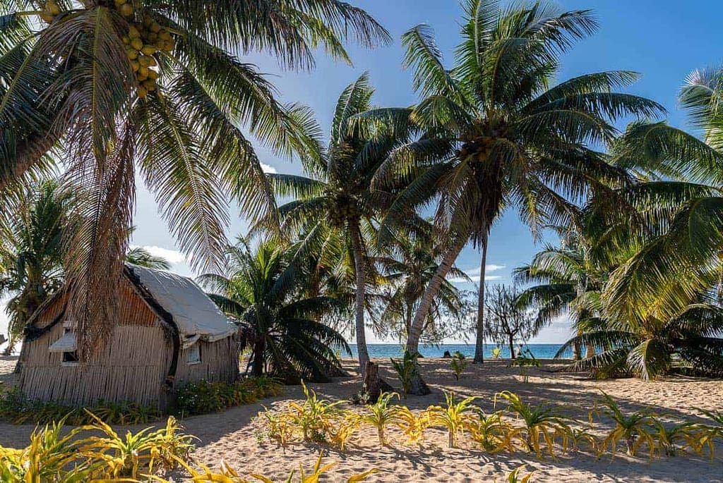 Taianas Resort - Her skal du bo på Uoleva Tonga