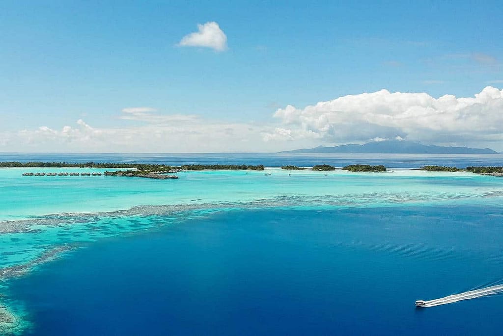 Den ultimative guide til dykning i Fransk Polynesien