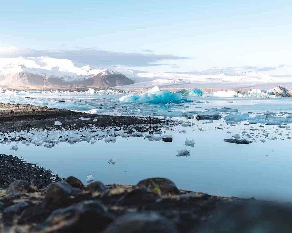 Jökulsárlón gletsjerlagune på island: Isbjerge & vandreture