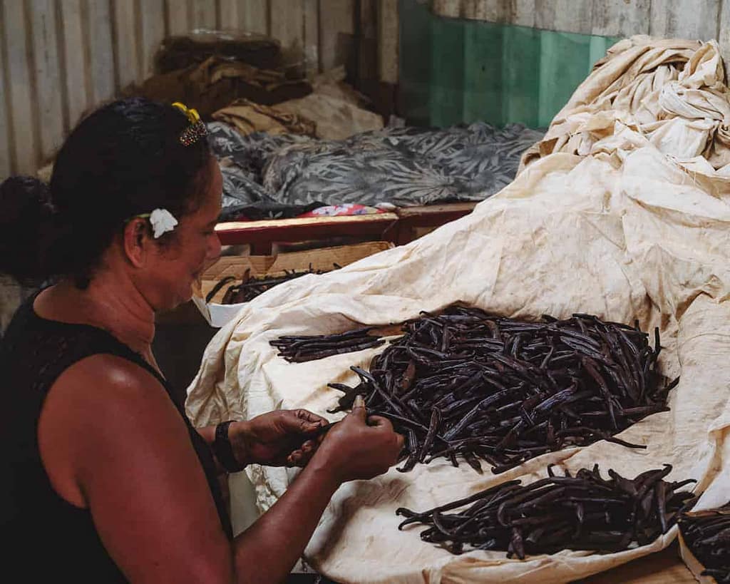 Oplev en vanilje plantage: Vallee De La Vanille på Tahaa Fransk Polynesien