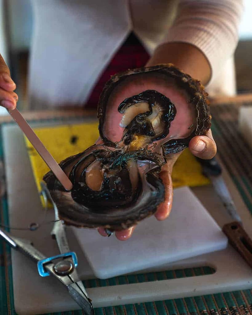 Oplev en perlefarm: Fransk Polynesiens sorte perler