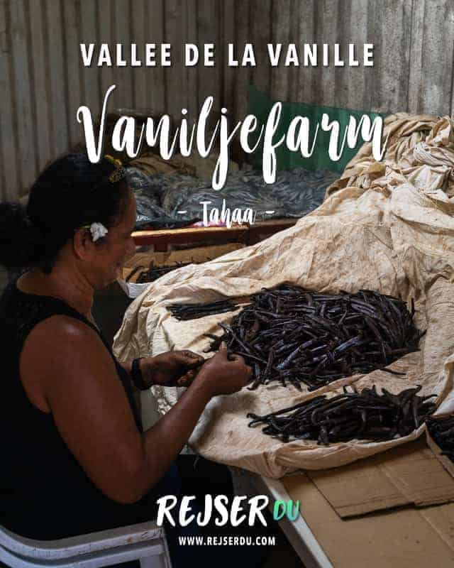 Oplev en vanilje plantage: Vallee De La Vanille på Tahaa Fransk Polynesien