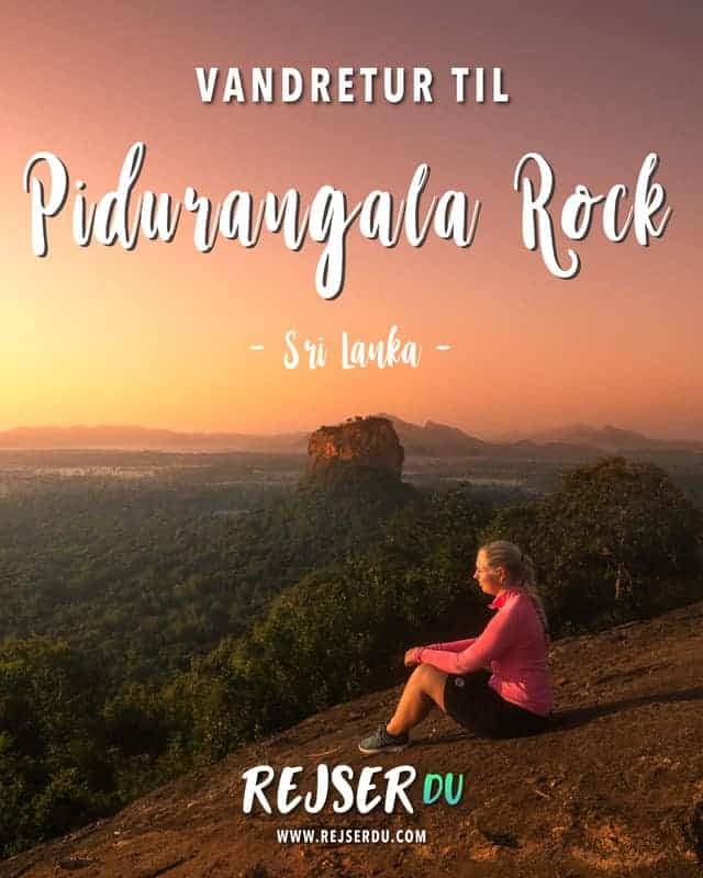 Pidurangala Rock vandretur i Sigiriya