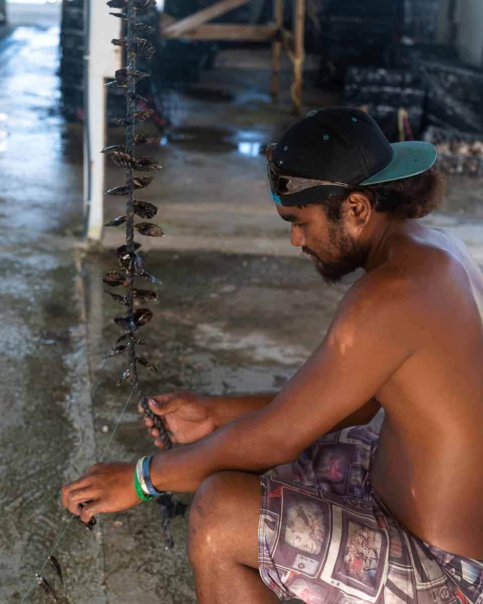 Oplev en perlefarm: Fransk Polynesiens sorte perler